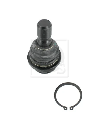 N420N136 NPS