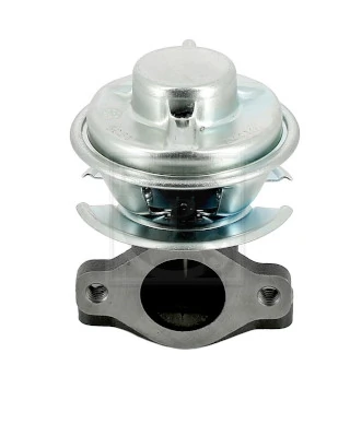 Válvula EGR para Hyundai Terracan  HP