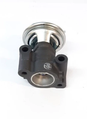 Válvula EGR para Hyundai Galloper  JK