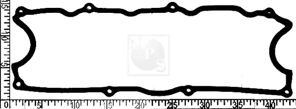 N122N12 NPS