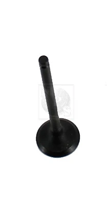 T921A48 NPS