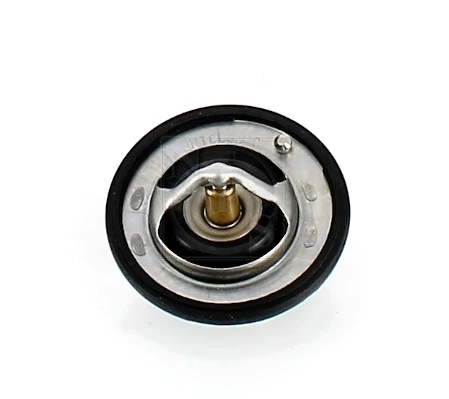 7710219 Kamoka Termostato de agua