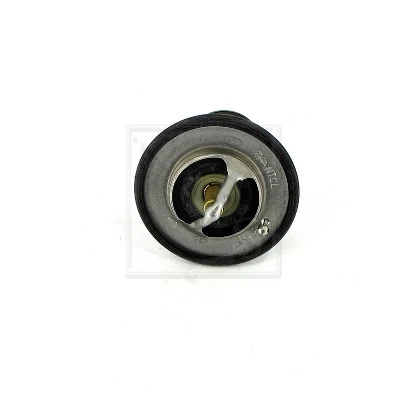 Termostato TE0053 Magneti Marelli