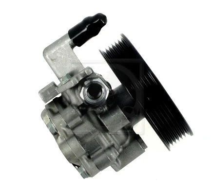 Bomba de dirección asistida  KIA Sportage II SUV (JE) (2004 - 2010) precio, desde 118,18 USD