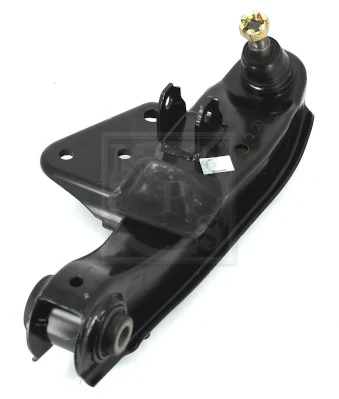 H421I13 NPS