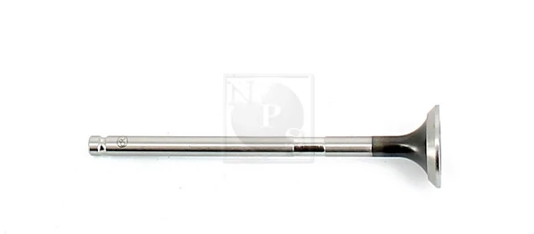T921A54 NPS