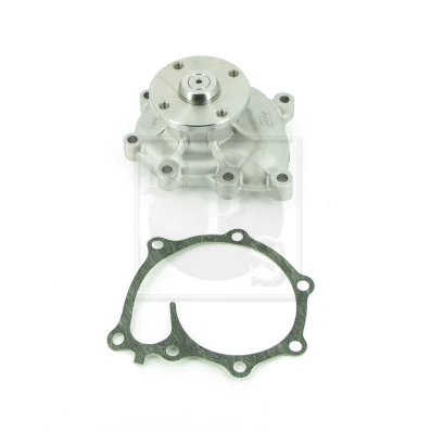 Comprar Bomba de agua KIA Carnival III VQ