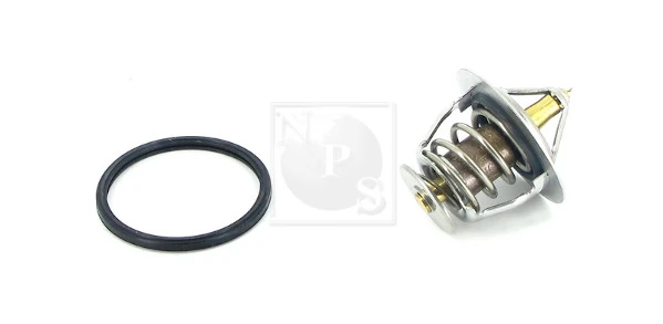 T153A20 NPS
