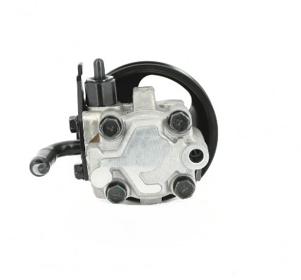 Bomba de dirección asistida  Hyundai Terracan SUV (HP) (2001 - 2006) precio, desde 69,70 EUR