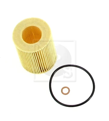 H131I04 NPS