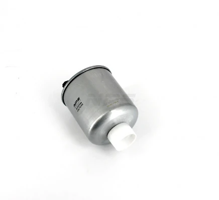 R133T04 NPS Filtro de gasolina
