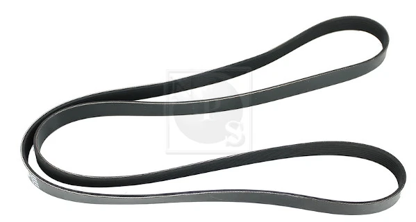  Correa de alternador Infiniti G35 