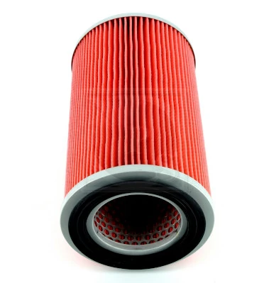 Filtro antipolen para Nissan Micra  K11