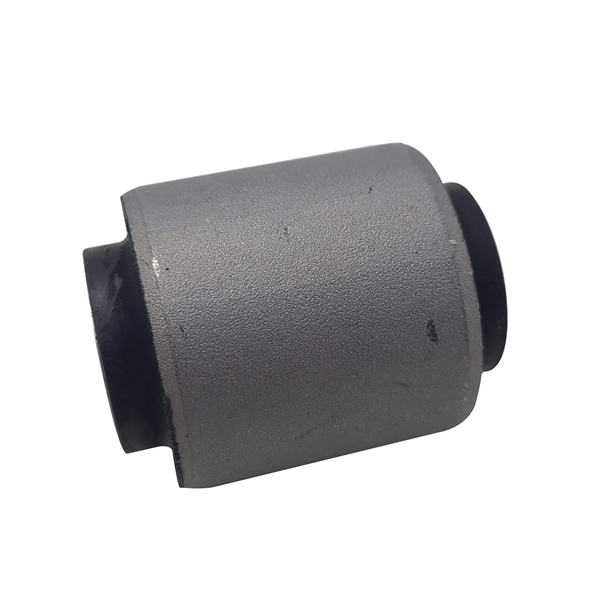 GV0078 CTR Buje del brazo transversal trasero