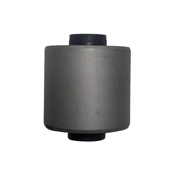 GV0660 CTR Buje del brazo longitudinal inferior trasero