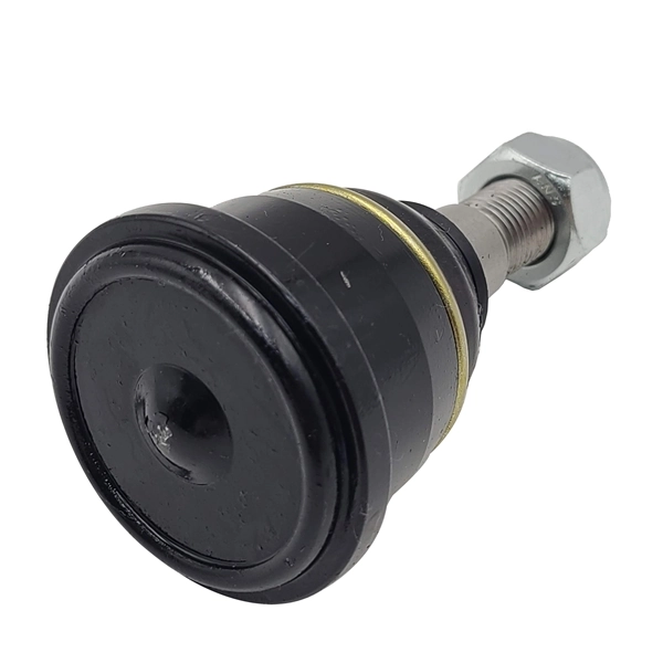 CB0497 CTR