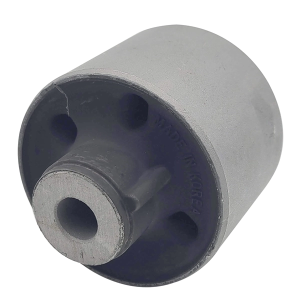 GV0046 CTR Silentblock del puente trasero