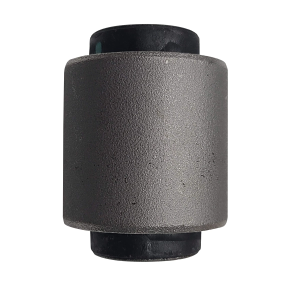 GV0669 CTR Buje del brazo inferior trasero