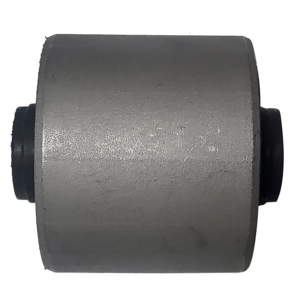 GV0661 CTR Buje del brazo longitudinal inferior trasero