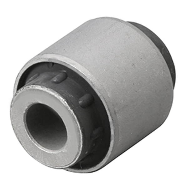 GV0249 CTR Buje del brazo transversal trasero