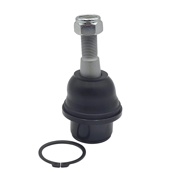 Rótula inferior de suspensión CTR CB0554 precio, desde 31,01 EUR
