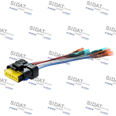 405154 Fispa