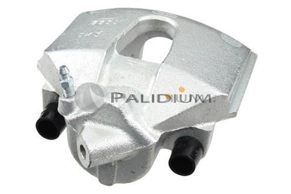 PAL41348 Ashuki
