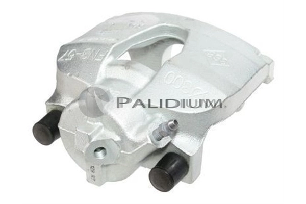 PAL41401 Ashuki