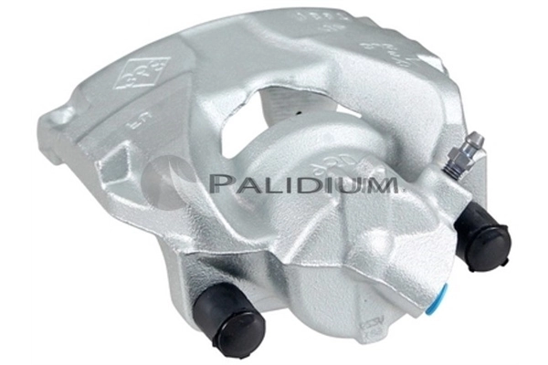 PAL41090 Ashuki