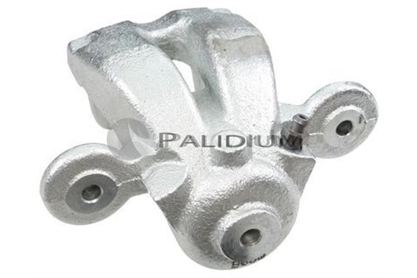 PAL42056 Ashuki