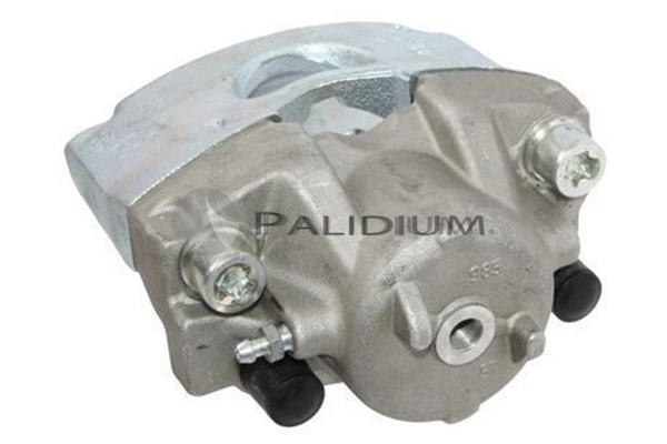 PAL41055 Ashuki