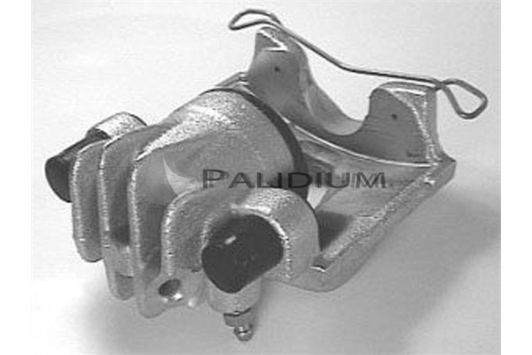 PAL41287 Ashuki