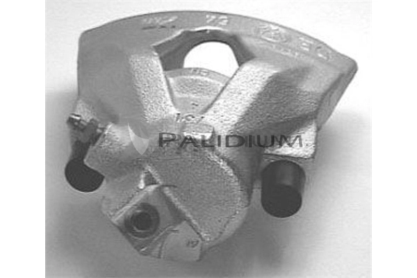 PAL41289 Ashuki
