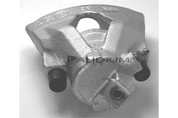 PAL41051 Ashuki