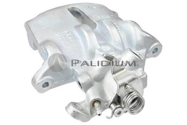 PAL42586 Ashuki
