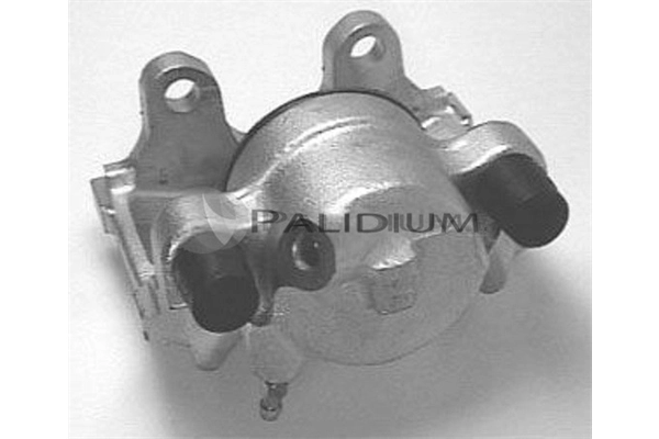 PAL41711 Ashuki