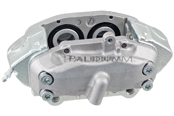 PAL41847 Ashuki