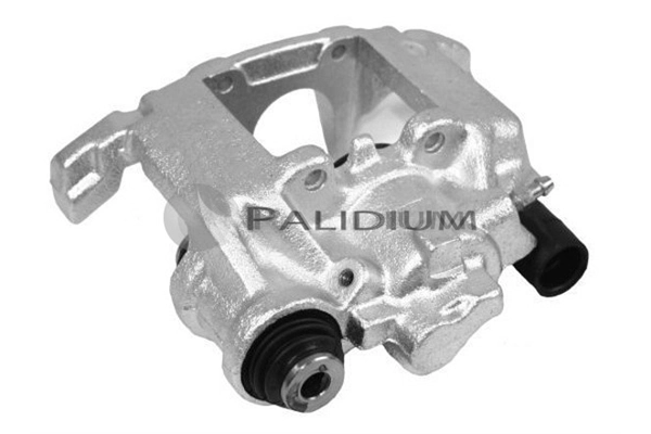PAL41243 Ashuki