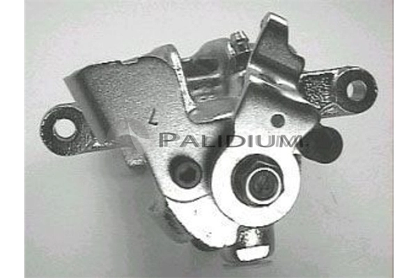PAL42296 Ashuki