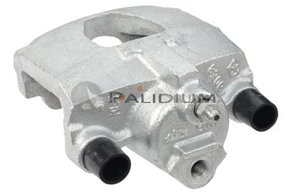 PAL41557 Ashuki