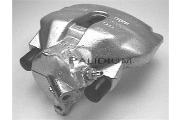 PAL41690 Ashuki