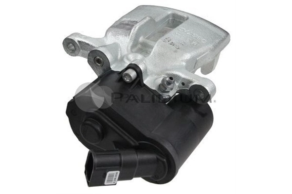 PAL42173 Ashuki