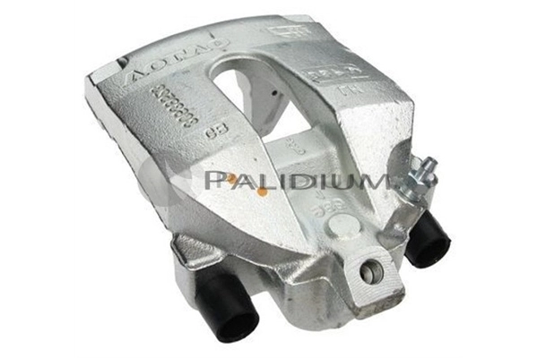 PAL41377 Ashuki