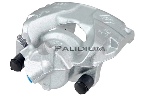 PAL41789 Ashuki