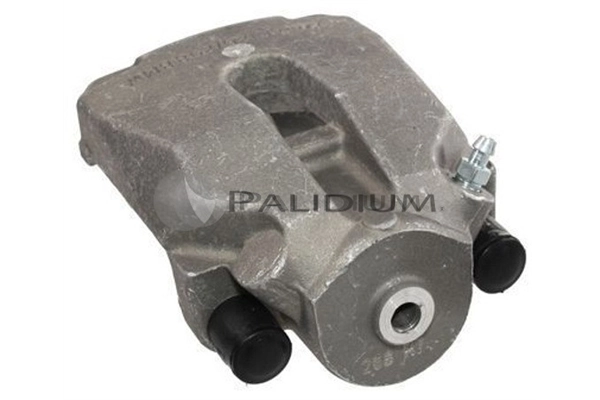 PAL41085 Ashuki