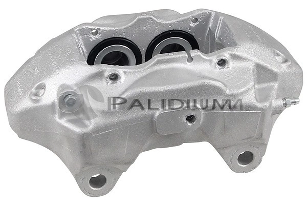 PAL41762 Ashuki