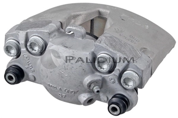 PAL42350 Ashuki