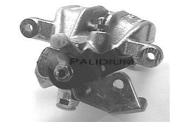 PAL42002 Ashuki
