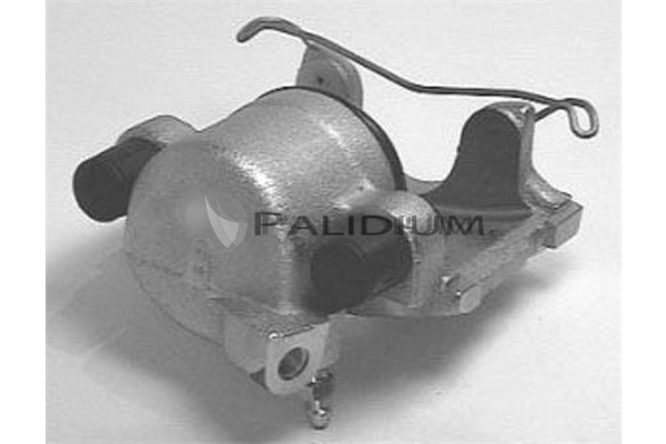 PAL41151 Ashuki