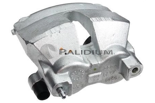PAL41531 Ashuki